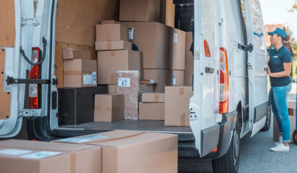 Área de recepción organizada con espacios definidos para paquetes